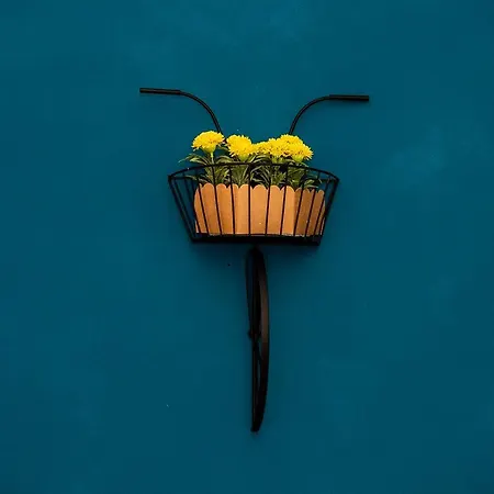 Apartment Trevi Fountain Garden